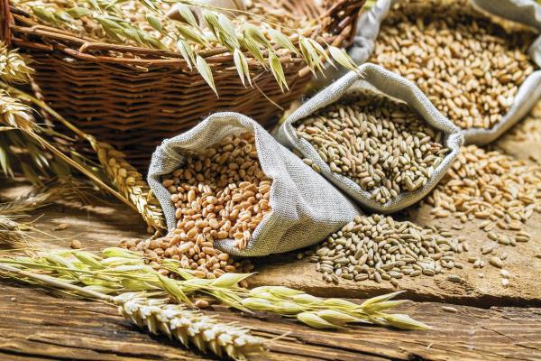 Азербайджан почти вдвое сократил импорт пшеницы