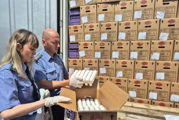 Азербайджан экспортировал в РФ свыше 43 млн яиц | Caliber.Az