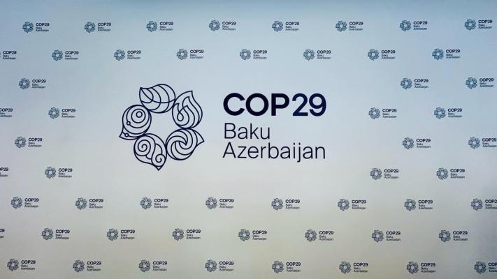 COP29 – маяк надежды, призывающий к защите нашей планеты Статья в пакистанских СМИ