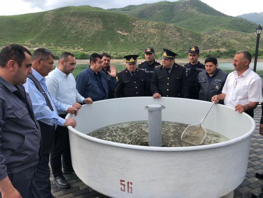 В Суговушанское водохранилище выпущены мальки ФОТО