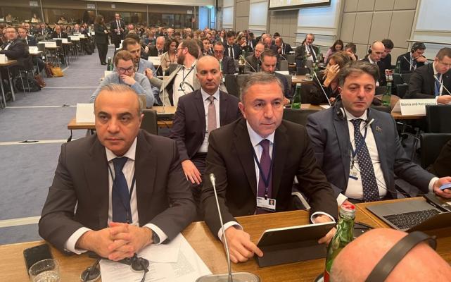 Подобные заявления не изменят реалий об агрессии Армении - Миркишили  ответил Виттингдейлу