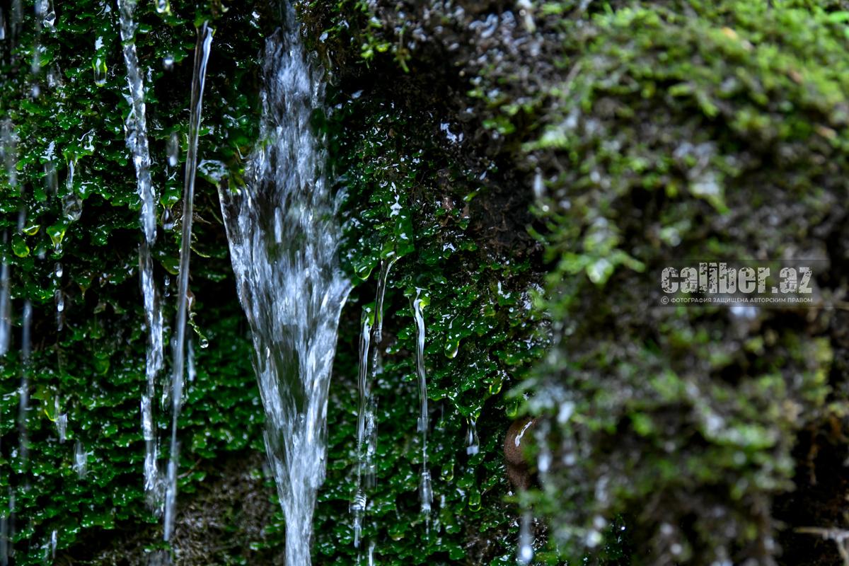 Стоковые фотографии по запросу Hot tub nature