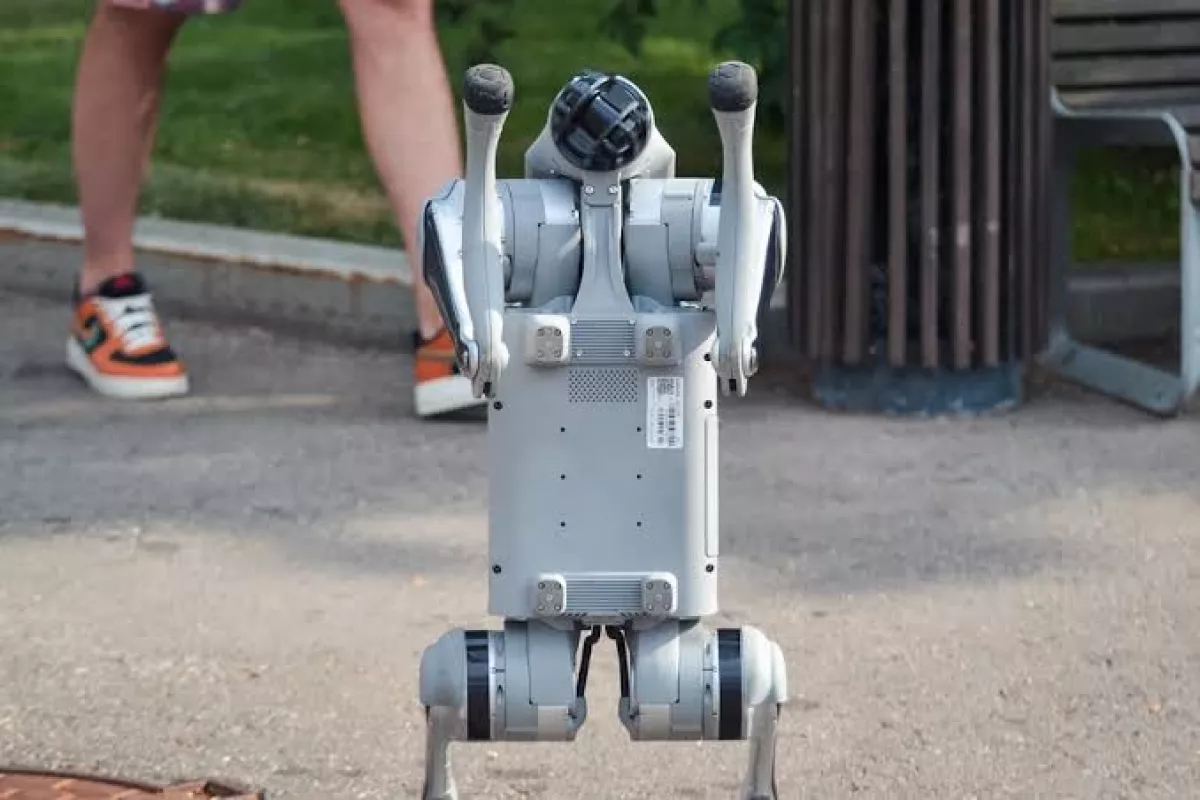 AI-powered robodog catches offenders at Kazakhstan mass events