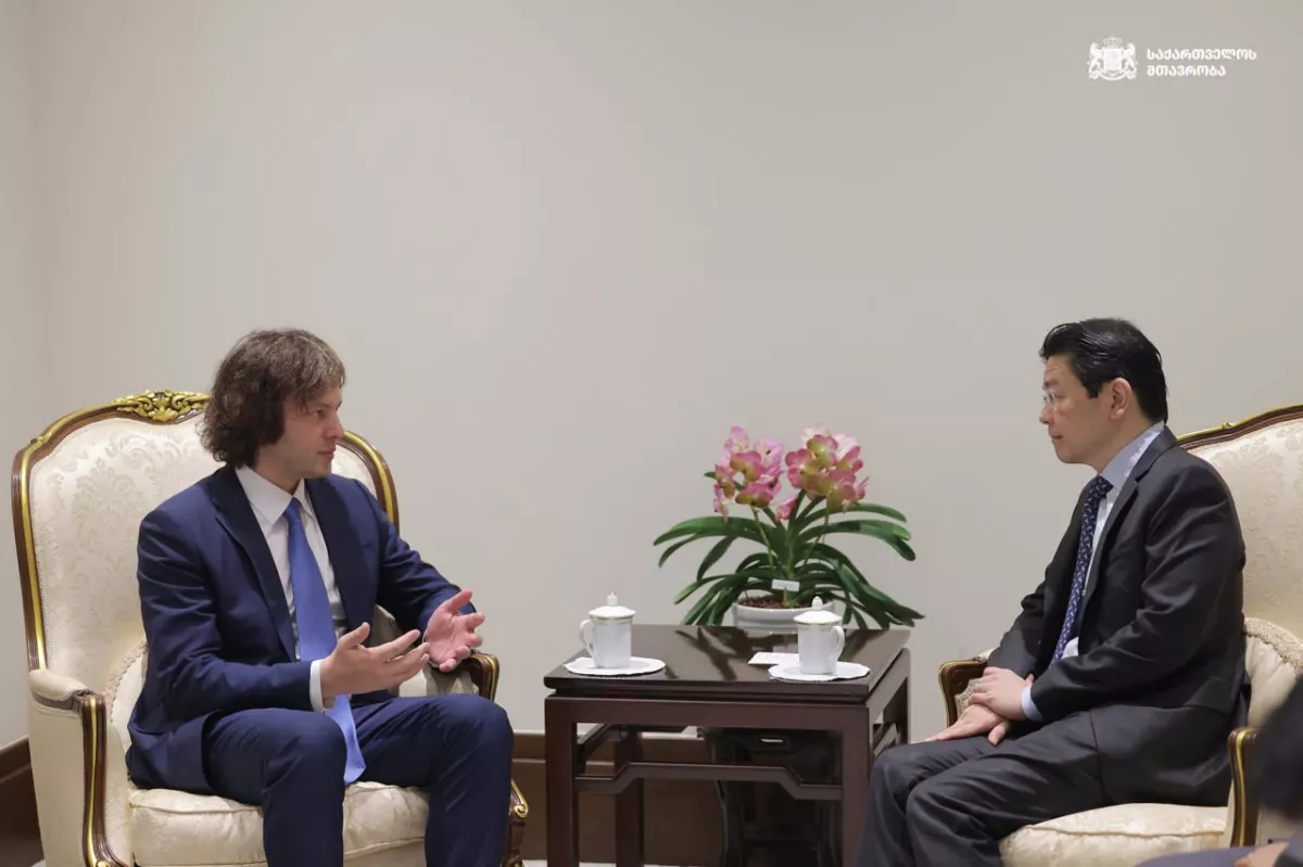 Georgia, Singapore PMs discuss expanding bilateral cooperation