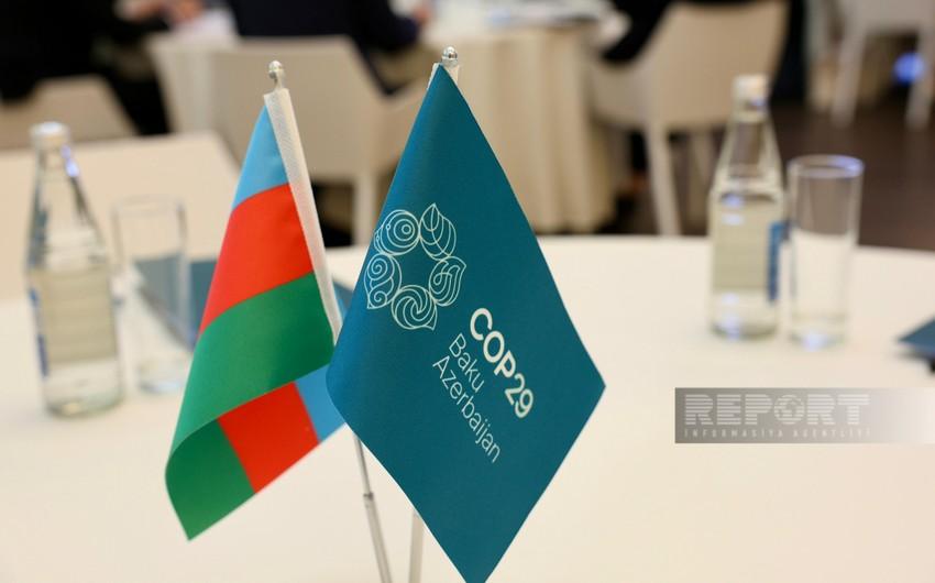 На COP29 Азербайджан представит инновации в аграрной сфере 