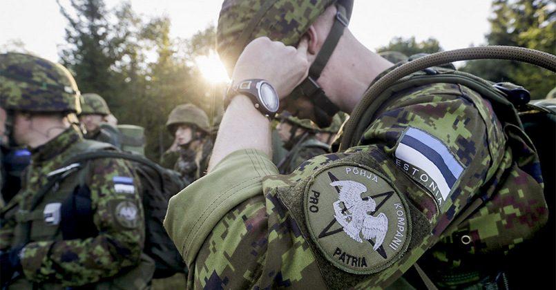 В Эстонии допустили отправку войск в Украину Для «тыловых задач»